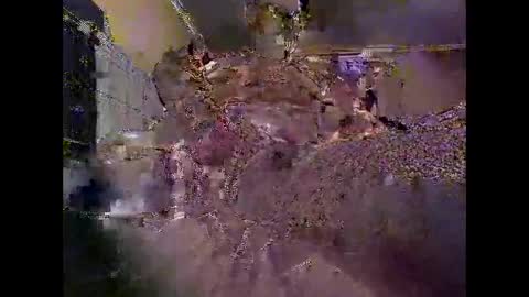 liketowatch1234529419 online show from 3, 6, 2026