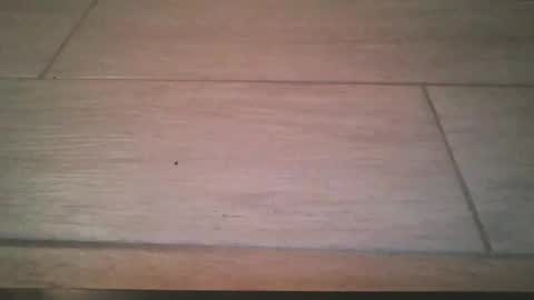 lildicksissy online show from 22, 11, 2025