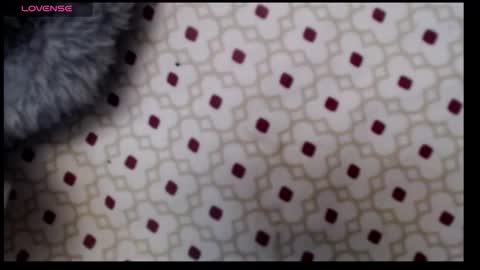 Snapshot of lildragon069 chatting on 7, 12, 2024 lildragon069 online show from 7, 12, 2024