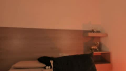 lilith_sage_ online show from 29, 3, 2026