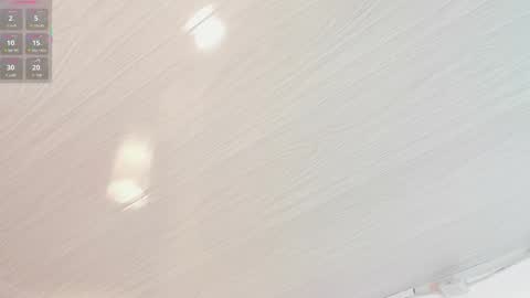 Snapshot of lilithsteinberg chatting on 15, 3, 2026 jessi 3 online show from 15, 3, 2026