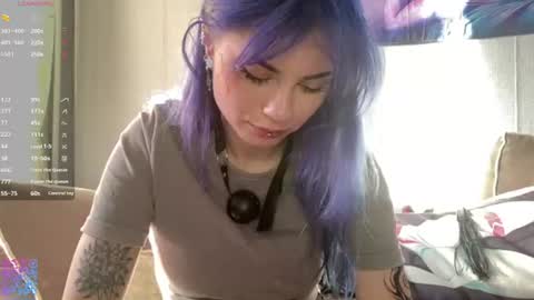 Amelia online show from 3, 7, 2026