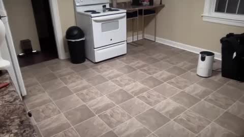 lilly_adams88 online show from 21, 2, 2025