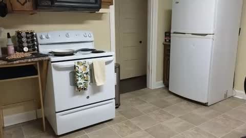 lilly_adams88 online show from 20, 2, 2026