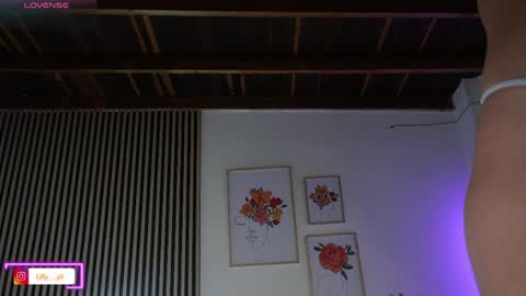 Sofia online show from 1, 4, 2026