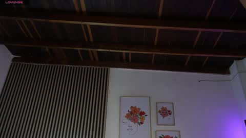 Sofia online show from 2, 4, 2026