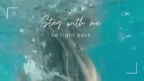 Lily online show from 30, 9, 2025