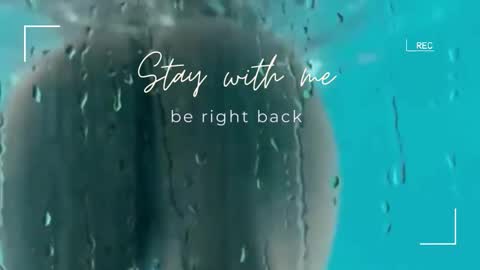 Lily online show from 21, 12, 2025