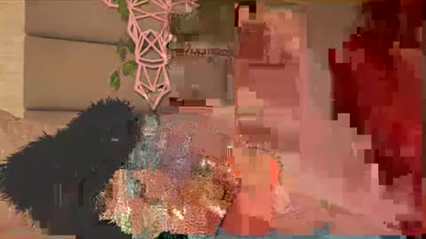 Lily Miiller online show from 5, 2, 2026