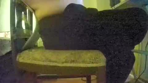 Snapshot of lilylovelyman50 chatting on 22, 6, 2026 lilylovelyman50 online show from 22, 6, 2026