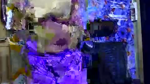 limaakter246618 online show from 21, 10, 2025