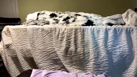 Richie Rich online show from 13, 12, 2024