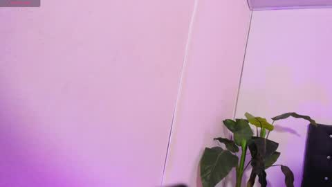 Linda  online show from 21, 4, 2026