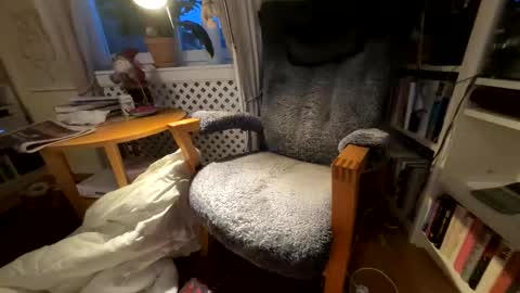 lingonkuk online show from 25, 11, 2025