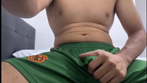 lion_20cm online show from 10, 11, 2025