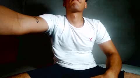 lion_20cm online show from 21, 11, 2025