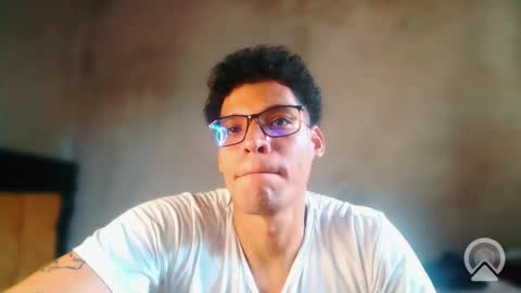 lion_20cm online show from 22, 11, 2025