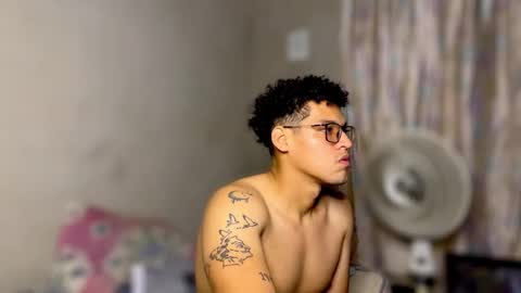 lion_20cm online show from 2, 12, 2025