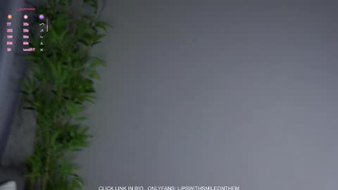 Amelia online show from 23, 2, 2026