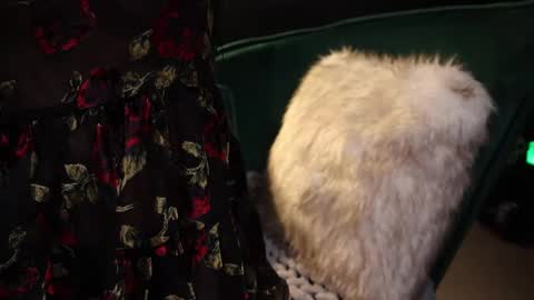 Lire online show from 20, 2, 2025