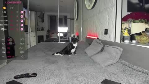 Lisa online show from 17, 11, 2025