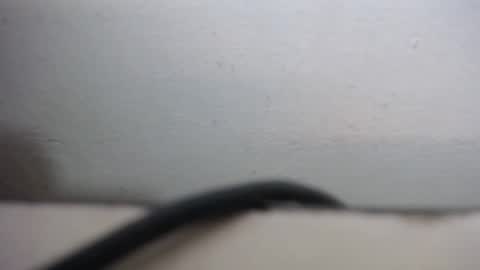 Snapshot of lisa_branch chatting on 20, 9, 2025 lisa_branch online show from 20, 9, 2025