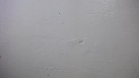 Snapshot of lisa_branch chatting on 4, 10, 2025 lisa_branch online show from 4, 10, 2025