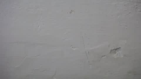 Snapshot of lisa_branch chatting on 6, 10, 2025 lisa_branch online show from 6, 10, 2025