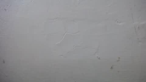 Snapshot of lisa_branch chatting on 13, 10, 2025 lisa_branch online show from 13, 10, 2025