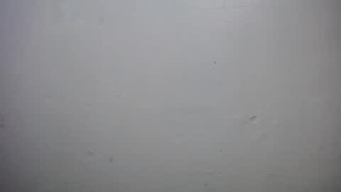 Snapshot of lisa_branch chatting on 18, 10, 2025 lisa_branch online show from 18, 10, 2025