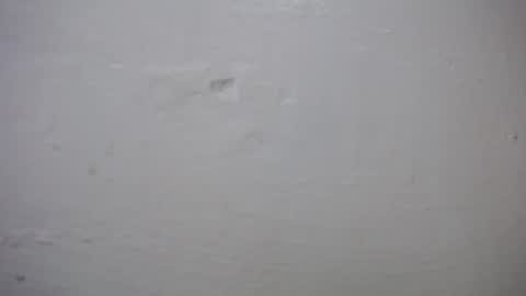 Snapshot of lisa_branch chatting on 27, 10, 2025 lisa_branch online show from 27, 10, 2025