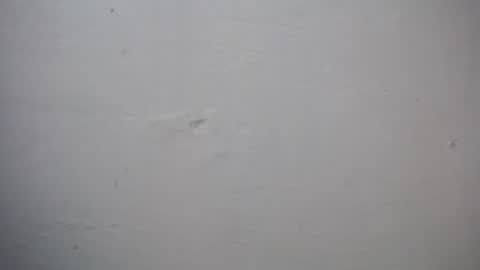 Snapshot of lisa_branch chatting on 27, 11, 2025 lisa_branch online show from 27, 11, 2025