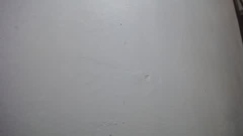 Snapshot of lisa_branch chatting on 29, 11, 2025 lisa_branch online show from 29, 11, 2025