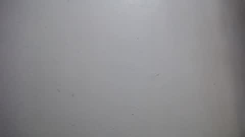 Snapshot of lisa_branch chatting on 14, 12, 2025 lisa_branch online show from 14, 12, 2025