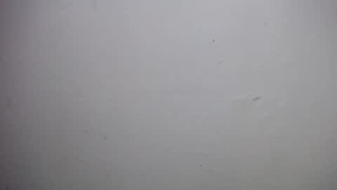 Snapshot of lisa_branch chatting on 18, 12, 2025 lisa_branch online show from 18, 12, 2025