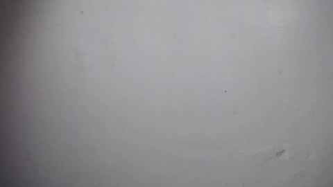 Snapshot of lisa_branch chatting on 19, 12, 2025 lisa_branch online show from 19, 12, 2025