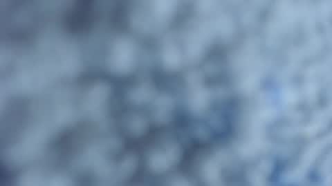 Lisa  online show from 21, 4, 2026