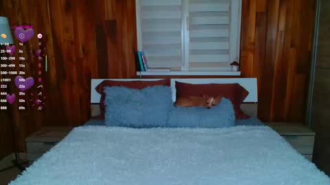 Lisa online show from 11, 2, 2025