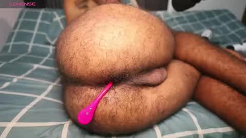 Little bear - give my room a like thanks. online show from 23, 4, 2026