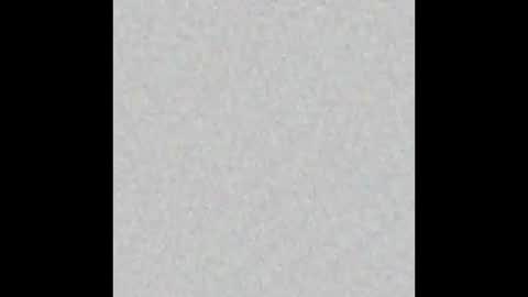 Adaline online show from 17, 1, 2026