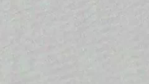 Adaline online show from 3, 4, 2026