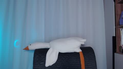 Sonnenschein online show from 11, 12, 2024