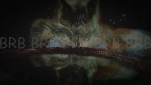 Niki  free tg channel with some photos gifs and info about streams  online show from 2, 2, 2025