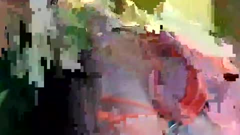 LIV LOMAX online show from 11, 6, 2026