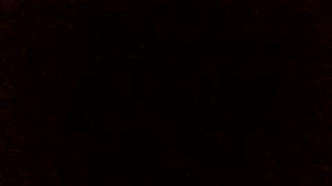 Lizzie Vonn online show from 25, 4, 2026