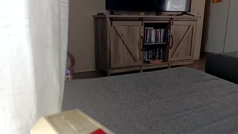 LjCherry online show from 11, 9, 2025