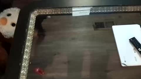 LjCherry online show from 1, 11, 2025