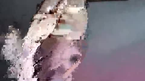 lllortx online show from 5, 3, 2026