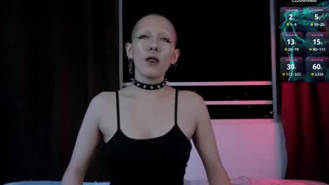 Lynx Mist online show from 29, 7, 2026