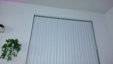 lolo 3 online show from 8, 2, 2025